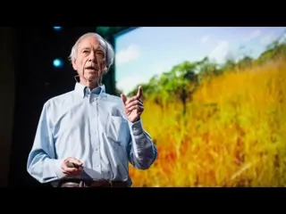 How to green the world's deserts and reverse climate change