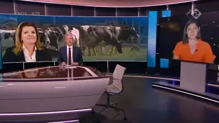 ChristenUnie bepleit krimpen van luchtvaart, naast veeteelt